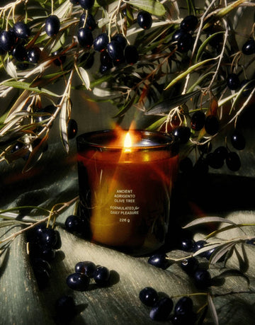 Ancient Agrigento Olive Tree Candle - kindredlosangeles